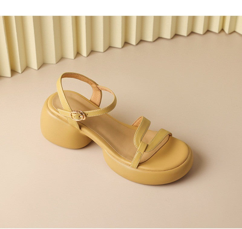 Designer New Women's Sandals 2025 New Fashion High Heels Summer Outdoor Beach Shoes Mary Jane Women Open Toed Thick Heel Sandals