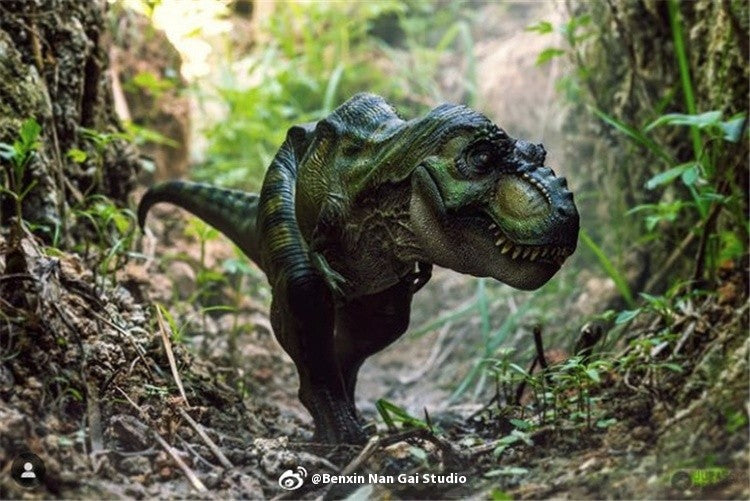 Tyrannosaurus Rex Eternal King Dinosaur Adult and Child Model Toy Figure Desktop Ornament Collection Festival Gift Surprise