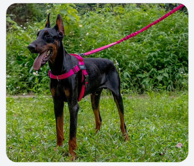 Dog Leads Leashes Durable Dual Traction Rope for Dogs Leash - Boost Safety and Control