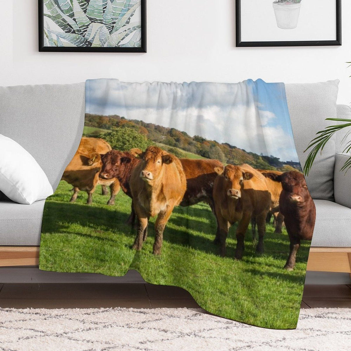 Limousin Cows Throw Blanket Cute Comforter Soft Big Heavy Blankets