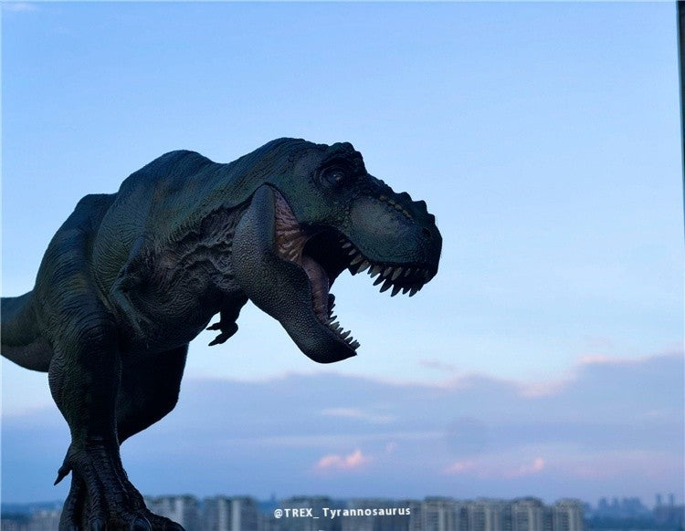Tyrannosaurus Rex Eternal King Dinosaur Adult and Child Model Toy Figure Desktop Ornament Collection Festival Gift Surprise