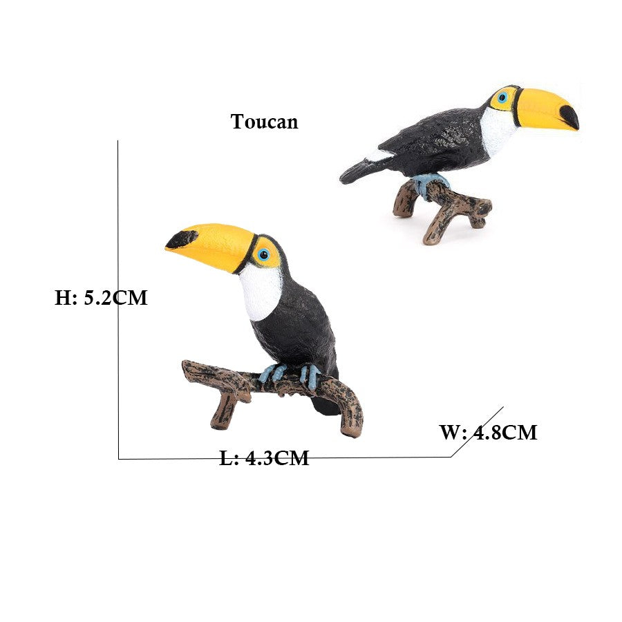 Owl Flamingo Turkey Toucan Seahawk Model Animal Figurines Plastic Bird Toy Action Figure Jungle Adventures Kids Gifts Forest zoo