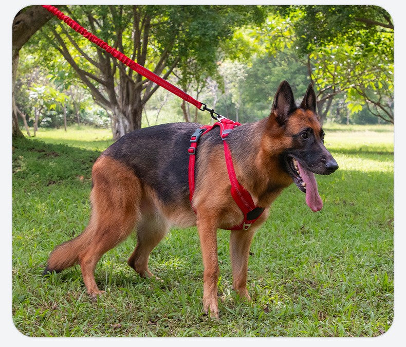 Dog Leads Leashes Durable Dual Traction Rope for Dogs Leash - Boost Safety and Control