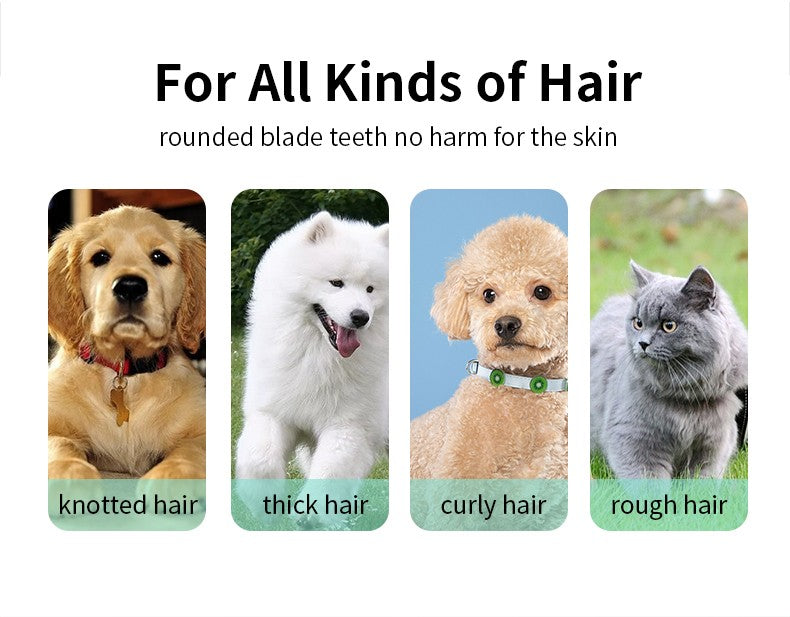 Pet grooming hospital kittensand puppies mute electric push clippers electric waterproof professional shaving haircutting talis