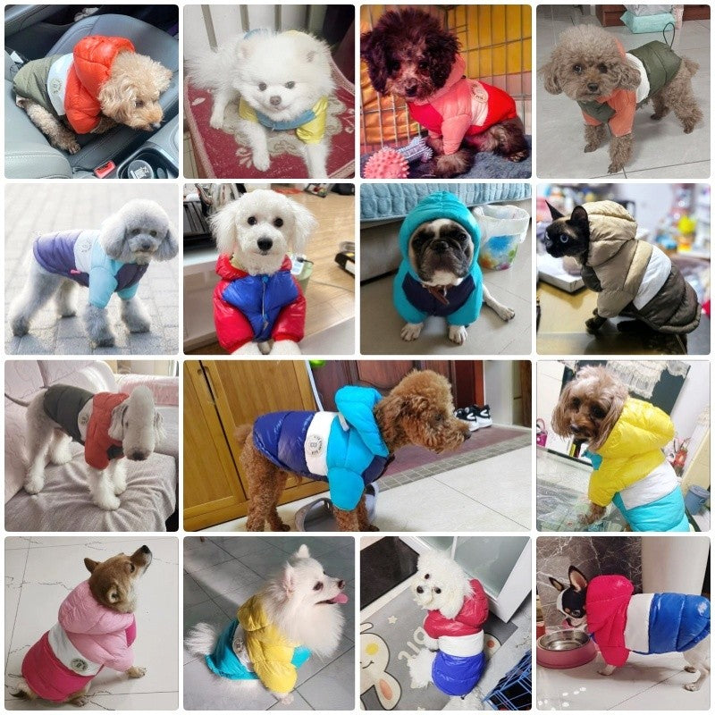 Winter Padded Dog Down Jacket Warm Soft Dog Clothes Fashion Puppy Jacket Cute Solid Cat Coat Pet Outfits French Bulldog Clothes