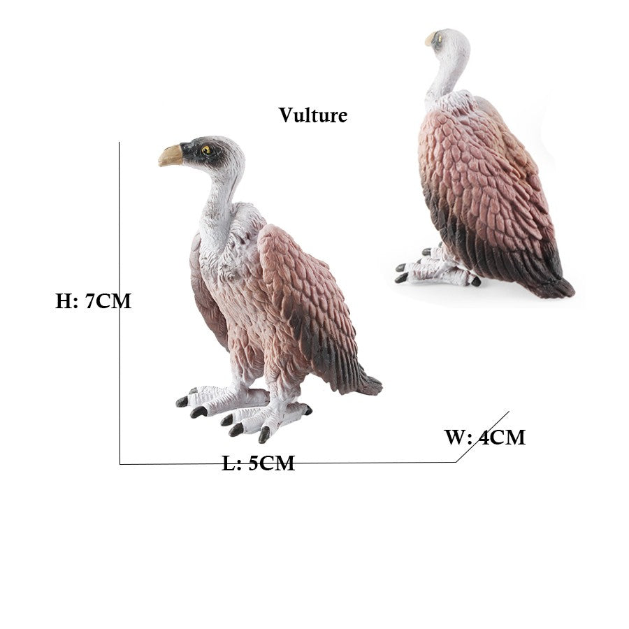 Owl Flamingo Turkey Toucan Seahawk Model Animal Figurines Plastic Bird Toy Action Figure Jungle Adventures Kids Gifts Forest zoo