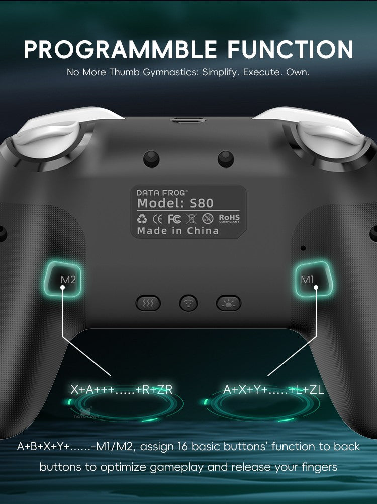 DATA FROG 2Pcs Wireless Pro Controller For Switch OLED/Switch Lite PC Gaming Gamepad Six Axis Gyro Dual Shock Turbo Function Gam
