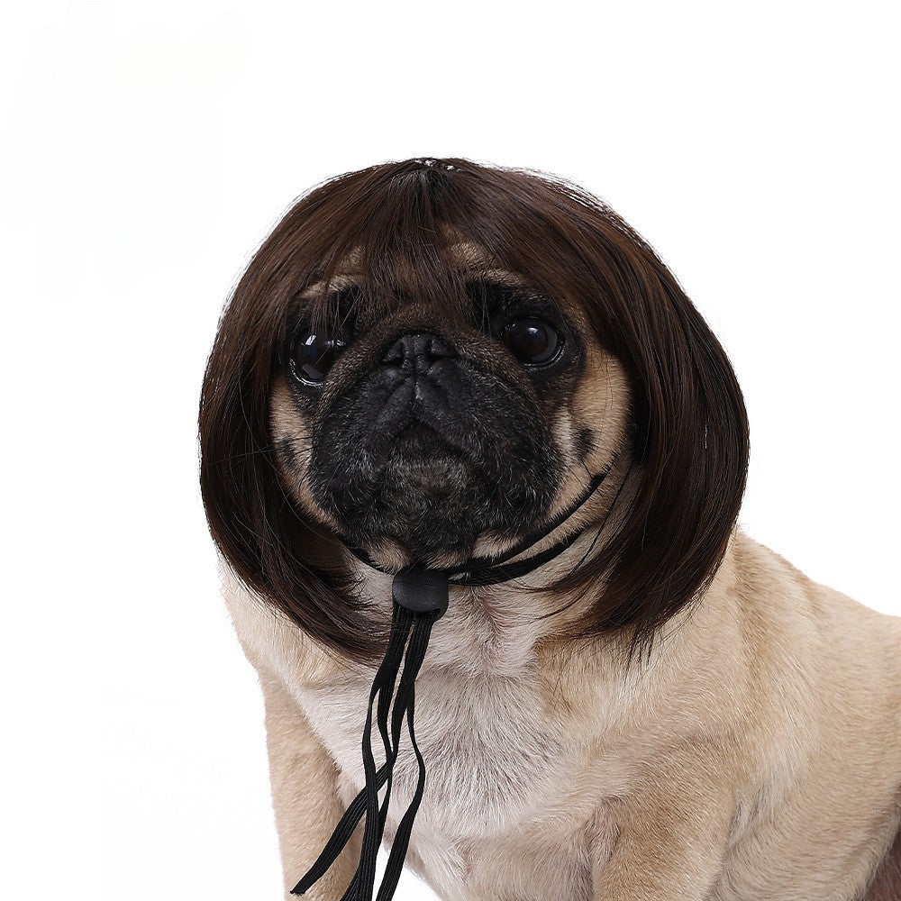 Pet Wig Dog Wig Pet Supplies Halloween Pet Accessories Curly Hair Straight Hair Cat Wig It can be DIY trimmed
