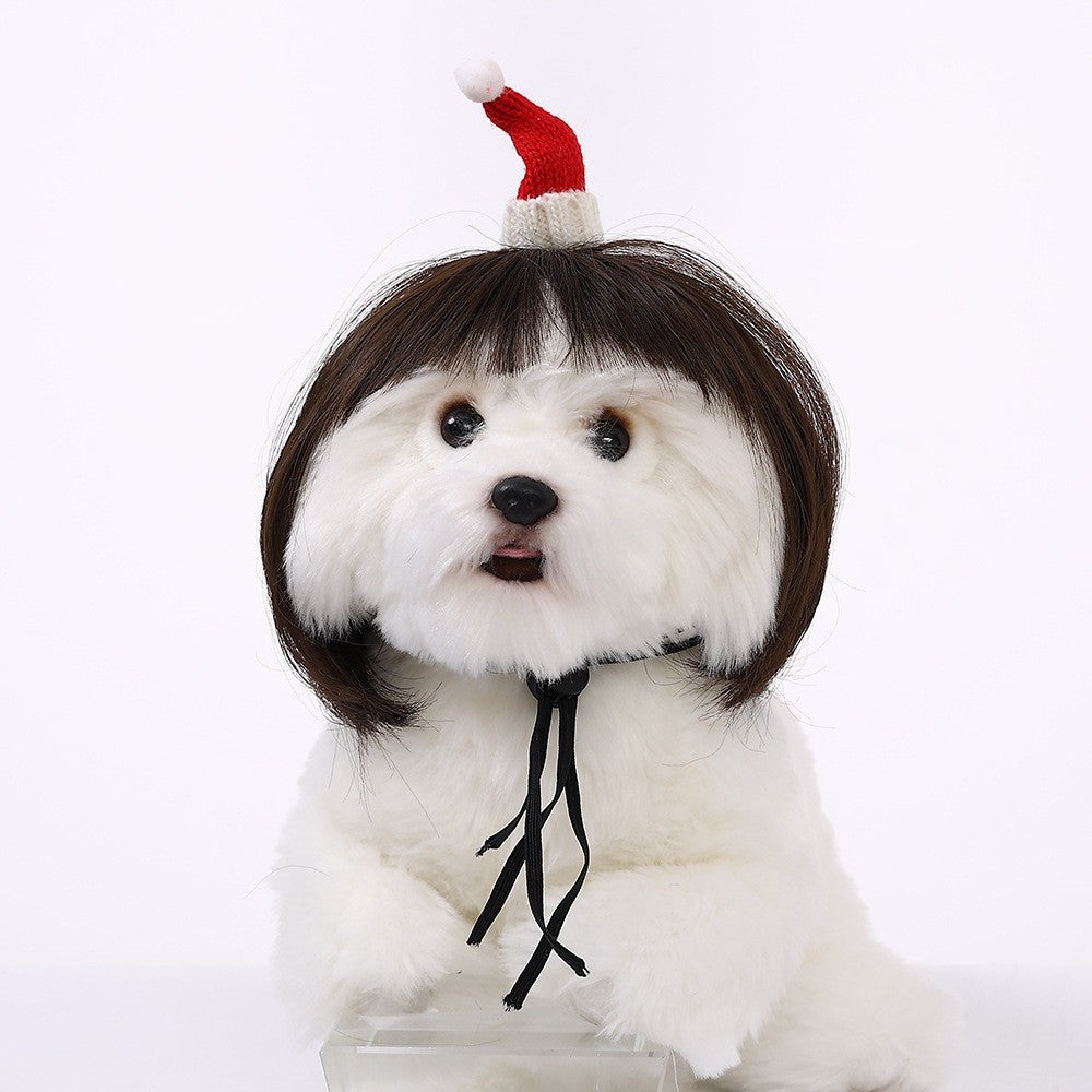 Pet Wig Dog Wig Pet Supplies Halloween Pet Accessories Curly Hair Straight Hair Cat Wig It can be DIY trimmed