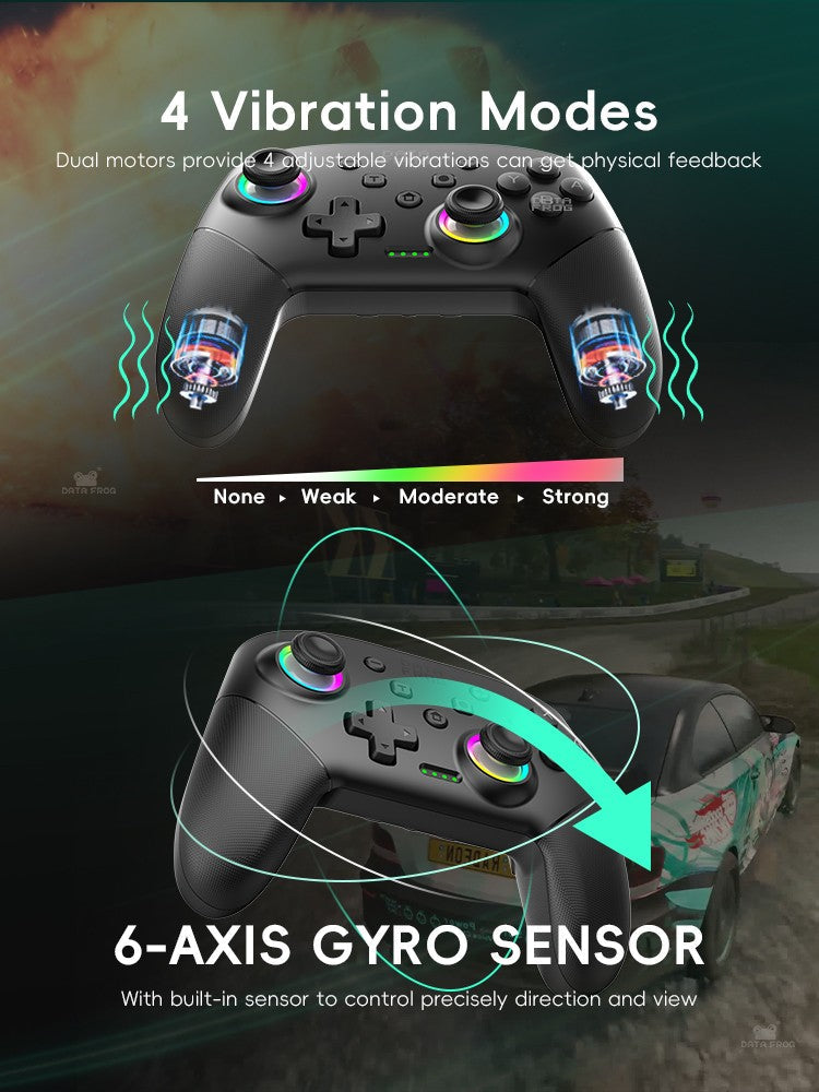 DATA FROG 2Pcs Wireless Pro Controller For Switch OLED/Switch Lite PC Gaming Gamepad Six Axis Gyro Dual Shock Turbo Function Gam