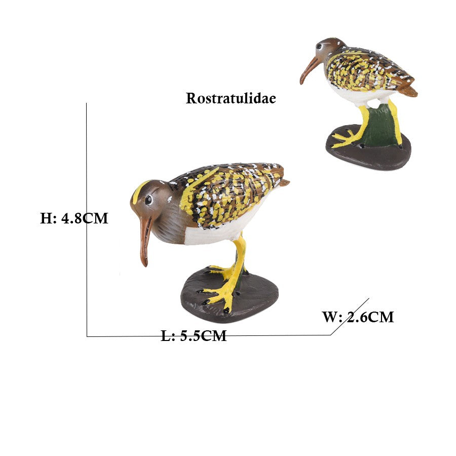 Owl Flamingo Turkey Toucan Seahawk Model Animal Figurines Plastic Bird Toy Action Figure Jungle Adventures Kids Gifts Forest zoo