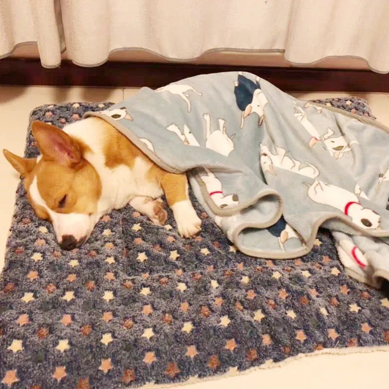 Pet Mat Thickened Autumn/Winter Warm Kennel Cat/dog Blanket Non-slip Seat Mat Soft Flannel Cotton Mat for Small and Large Dogs