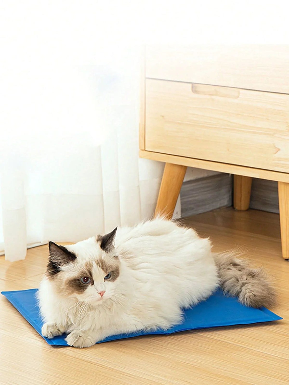 1pc-New Pet Ice Cushion Dogs Cats Summer Cooler Sleeping Pad Wear-resistant Cooling Heat Relief Cooling Sponge Gel Pet Supplies