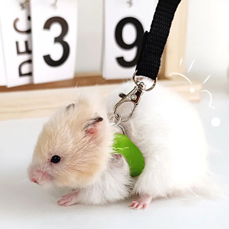 4 Pcs /set Sugar Quoll Harness + Leash Set Escape-Proof Adjustable Collar for Pet Small Animals Hamsters Sugar Gliders Squirrels