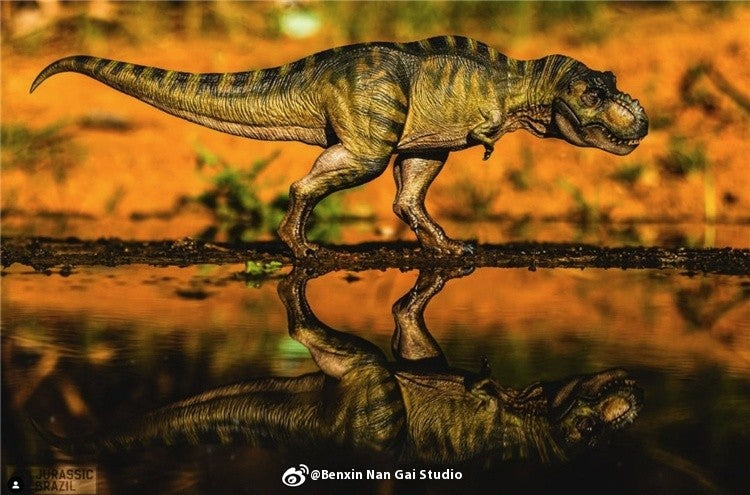 Tyrannosaurus Rex Eternal King Dinosaur Adult and Child Model Toy Figure Desktop Ornament Collection Festival Gift Surprise