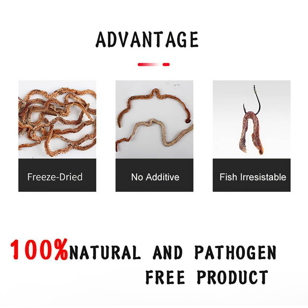 1Bag Dry Sandworms Fishing Lure Eco-friendly Fish Bait Portable Seductive Food For Aquatic Animals Enticement Usage 10g