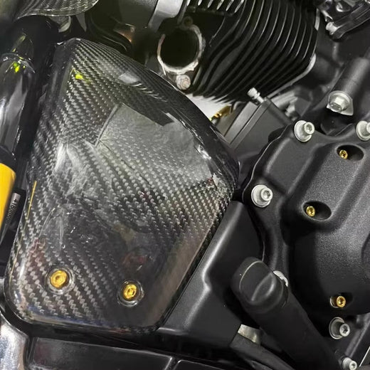 For Harley Davidson lowriderS 2022-2024 100% Carbon fiber motorcycle modification part side battery cover frame protection plate