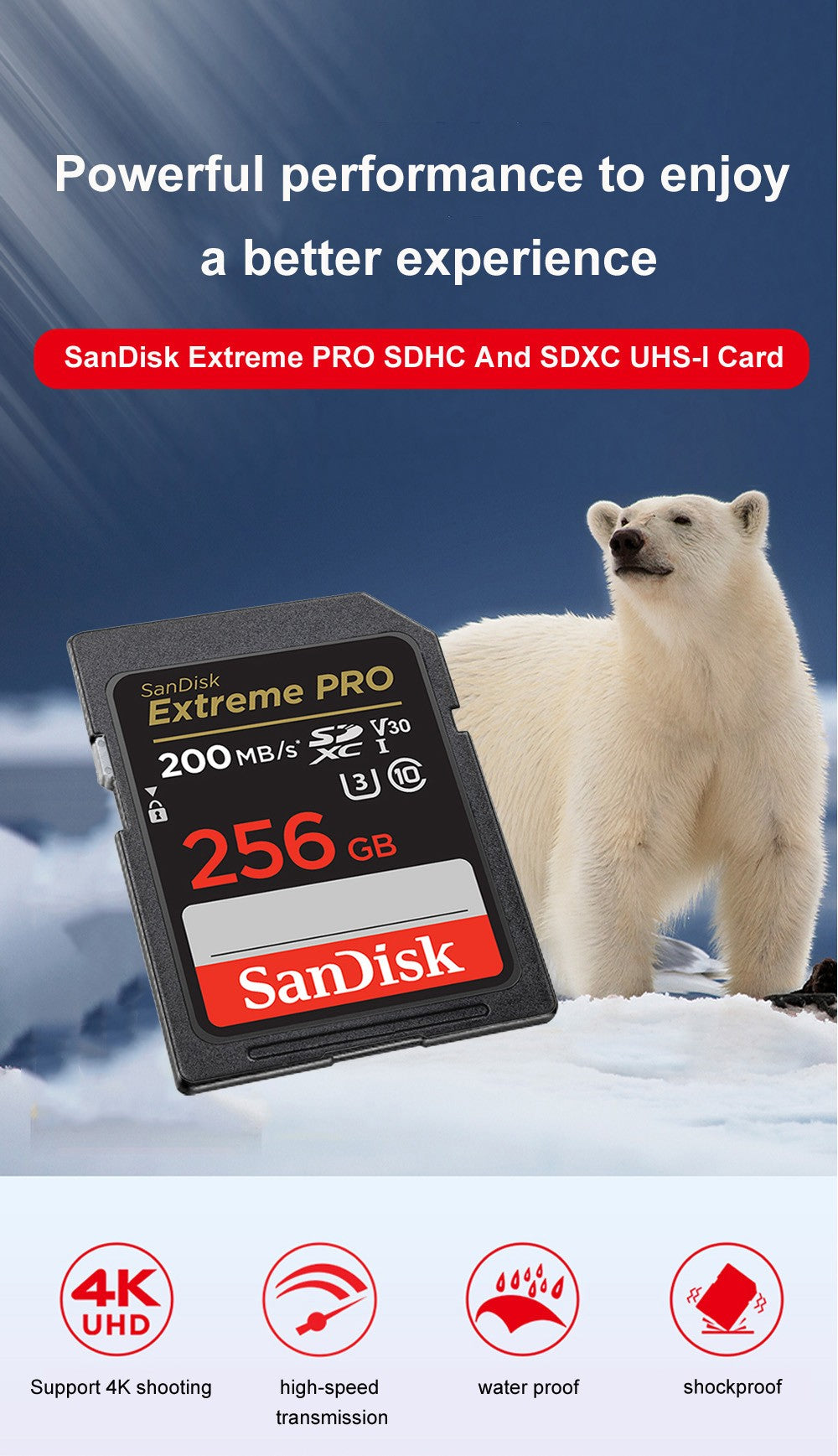 SanDisk SD Card 32GB SDHC 64GB 128GB 256G SDXC SD Card C10 Memory Cards Up to 200MB/s Read U3 V30 Flash Cards 4K UHD for Camera