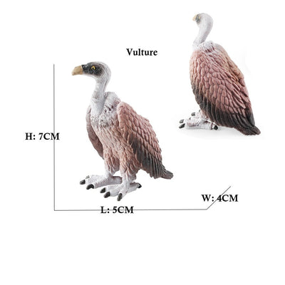 Owl Flamingo Turkey Toucan Seahawk Model Animal Figurines Plastic Bird Toy Action Figure Jungle Adventures Kids Gifts Forest zoo