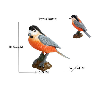 Owl Flamingo Turkey Toucan Seahawk Model Animal Figurines Plastic Bird Toy Action Figure Jungle Adventures Kids Gifts Forest zoo