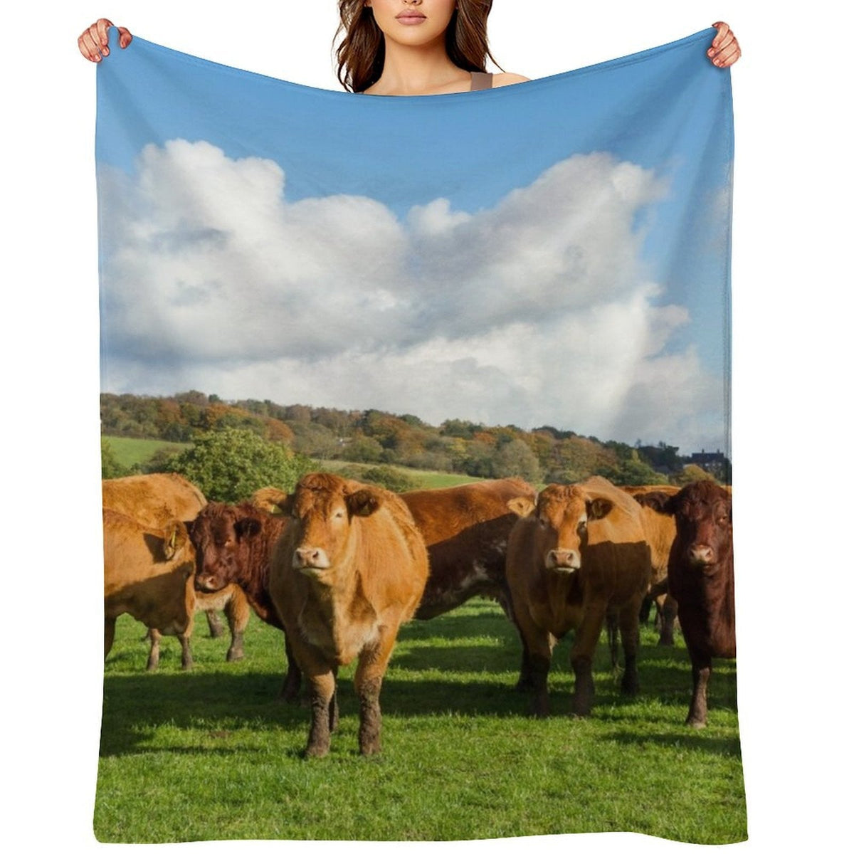Limousin Cows Throw Blanket Cute Comforter Soft Big Heavy Blankets