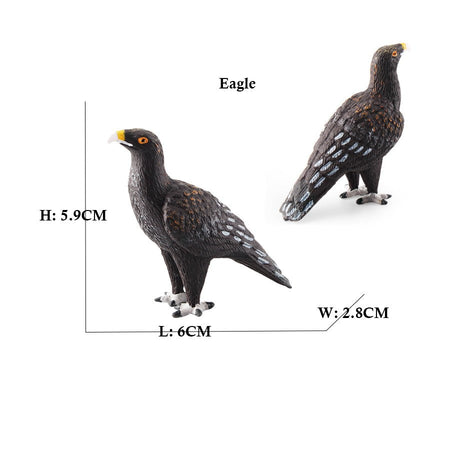 Owl Flamingo Turkey Toucan Seahawk Model Animal Figurines Plastic Bird Toy Action Figure Jungle Adventures Kids Gifts Forest zoo