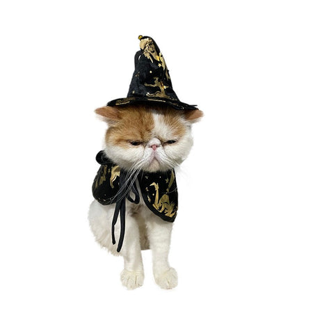New Halloween Witch Cloak, Cat Wizard Cloak, Pet Cloak, Festival Dress Up, Transformation Dress Up