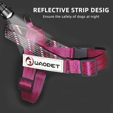 Pet Fashion Dog Harnesses For Medium And Large Walking Dogs Portable New Design Safety Chest Harness Colorful Collar Accessories