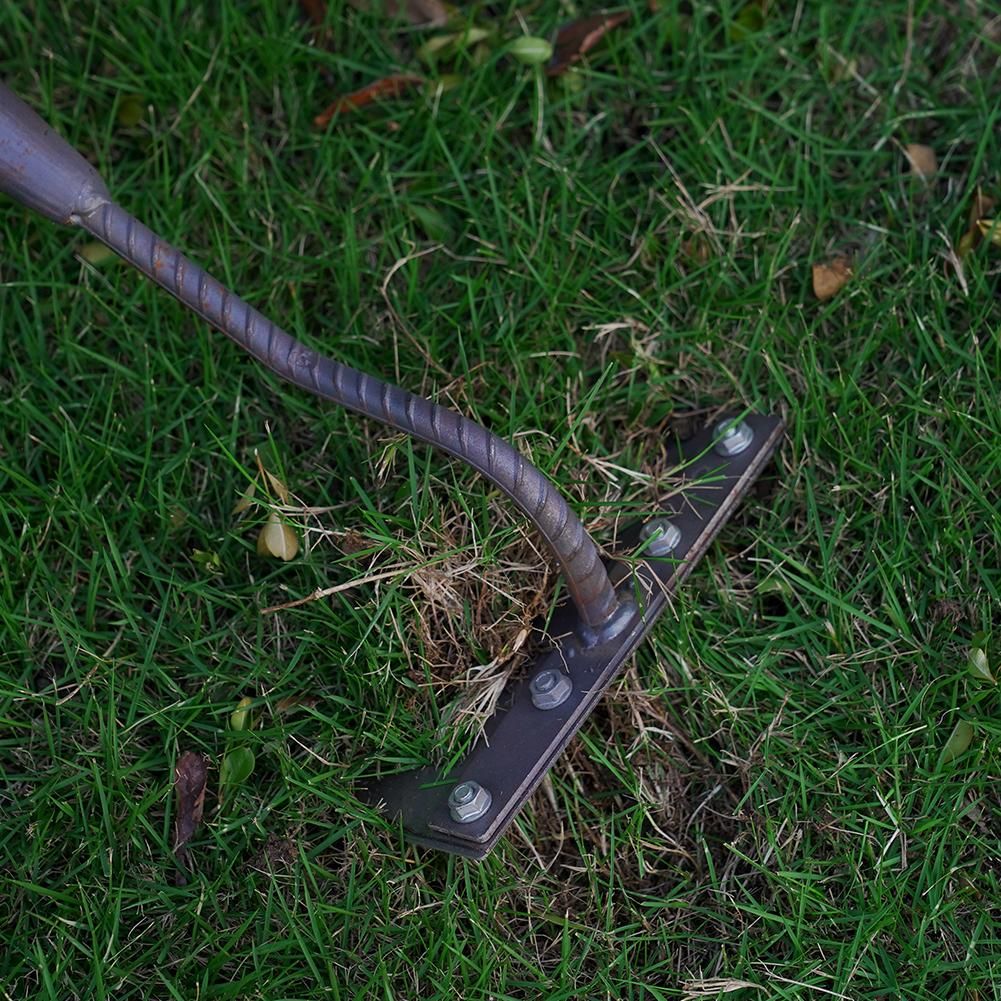 1PCS Teeth Carbon Steel Garden Hand Rake for Farm Garden Weeding Tools Scarifier Agricultural Nail Harrow Metal Harrow