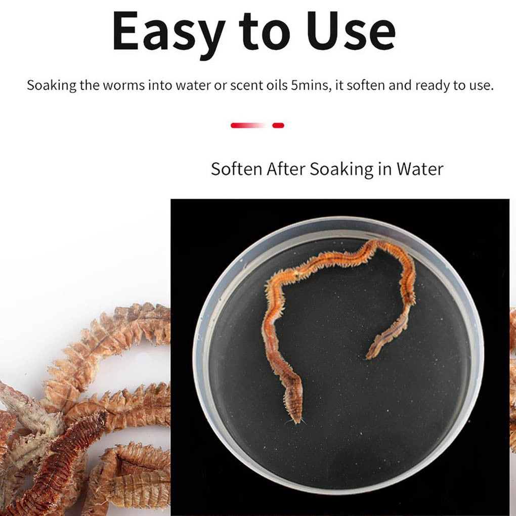 1Bag Dry Sandworms Fishing Lure Eco-friendly Fish Bait Portable Seductive Food For Aquatic Animals Enticement Usage 10g