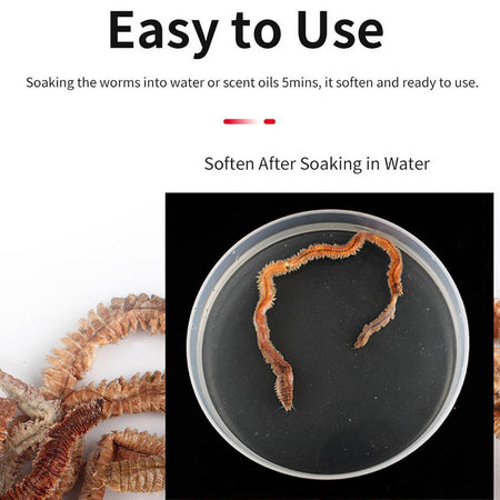 1Bag Dry Sandworms Fishing Lure Eco-friendly Fish Bait Portable Seductive Food For Aquatic Animals Enticement Usage 10g