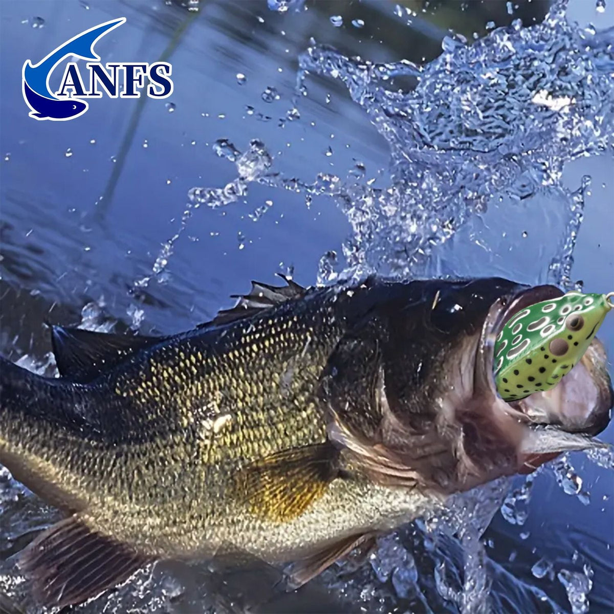 ANFS 3pcs Premium Frog- Duck Shaped Fishing Baits with Storage Box -Soft Lure For Topwater Freshwater Fishing