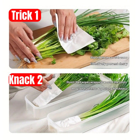 1/2/4Pcs Refrigerator Storage Boxes With Lid Plastic Fresh Keeping Box Kitchen Scallions Cilantro Eggs Noodles Sealed Container