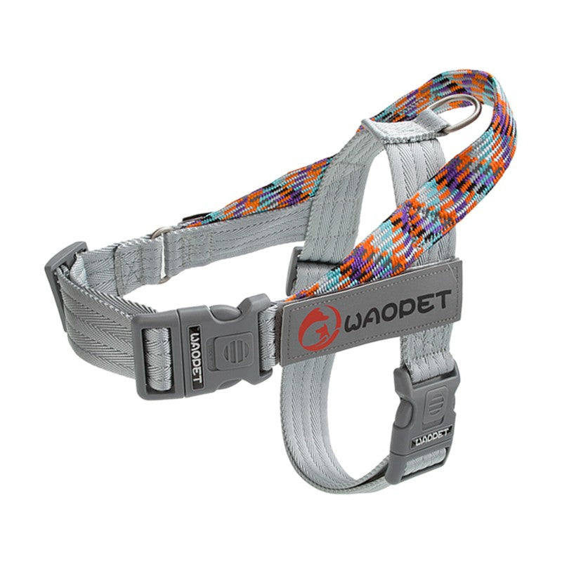 Pet Fashion Dog Harnesses For Medium And Large Walking Dogs Portable New Design Safety Chest Harness Colorful Collar Accessories