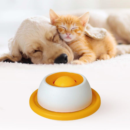 Lick Toys For Dogs Slow Feeder Food Dispenser For Puppy Interactive Dog Toys dog Training Enrichment Cat Feeding Crate Accessory