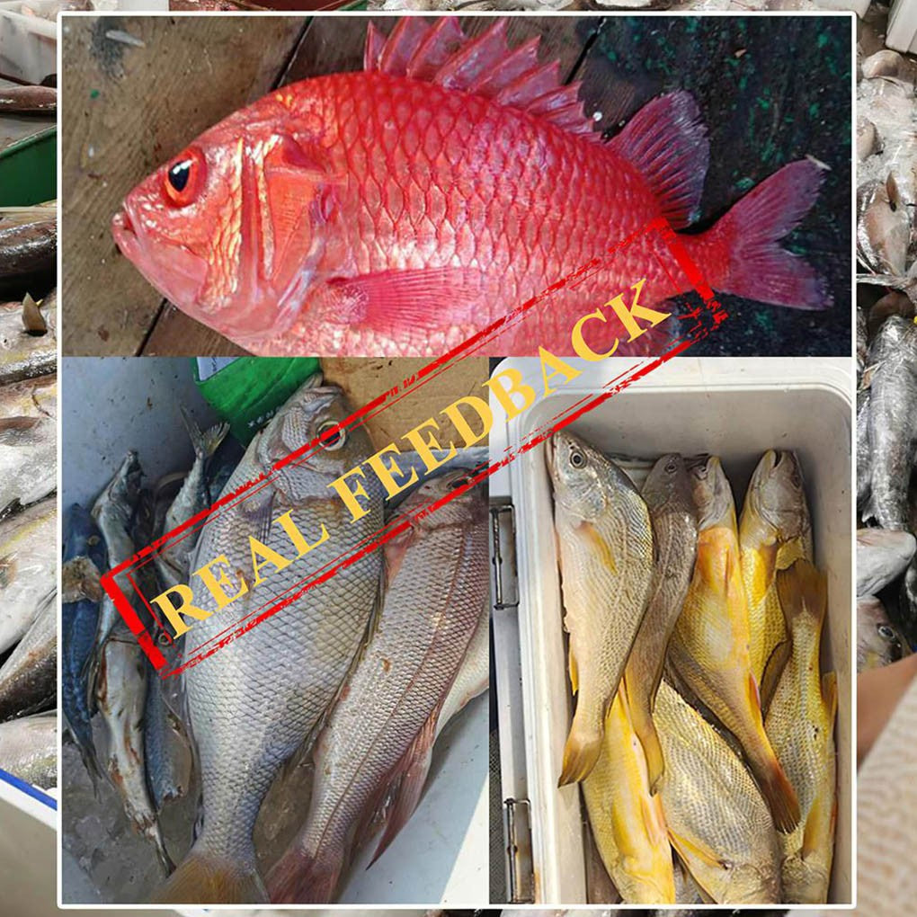 1Bag Dry Sandworms Fishing Lure Eco-friendly Fish Bait Portable Seductive Food For Aquatic Animals Enticement Usage 10g