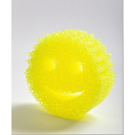 Scratch-Free Multipurpose Kitchen Sponge FlexTexture Foam Dual-Sided Heavy Duty Odor Stain Resistant Cleaning Tool Dishes