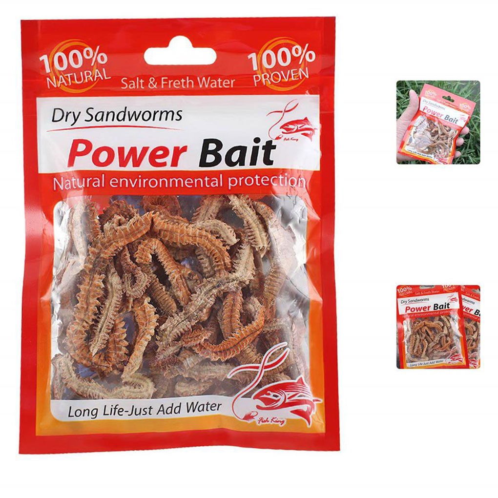 1Bag Dry Sandworms Fishing Lure Eco-friendly Fish Bait Portable Seductive Food For Aquatic Animals Enticement Usage 10g