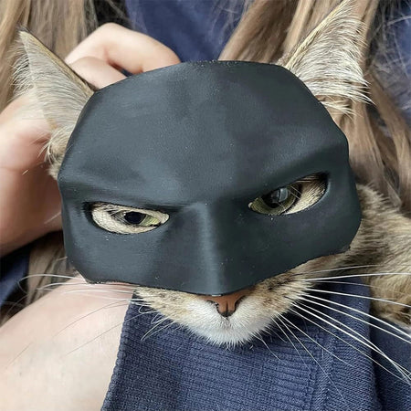 New Black Bat Cat Avenger Mask Cat Mask Avenger Mask Matte Cute Bat Mask Cool Superhero Pet Cat Dog Toy Halloween Atmosphere Pro