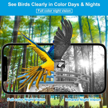 Smart Solar Bird Feeder with 4MP Camera AI Bird Identification Night Vision Weatherproof Design for Outdoor Use