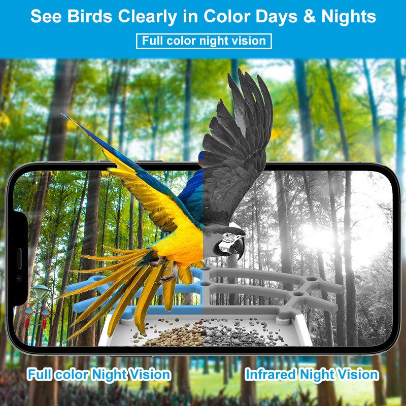 Smart Solar Bird Feeder with 4MP Camera AI Bird Identification Night Vision Weatherproof Design for Outdoor Use