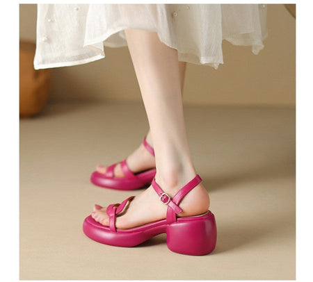 Designer New Women's Sandals 2025 New Fashion High Heels Summer Outdoor Beach Shoes Mary Jane Women Open Toed Thick Heel Sandals