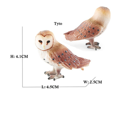 Owl Flamingo Turkey Toucan Seahawk Model Animal Figurines Plastic Bird Toy Action Figure Jungle Adventures Kids Gifts Forest zoo