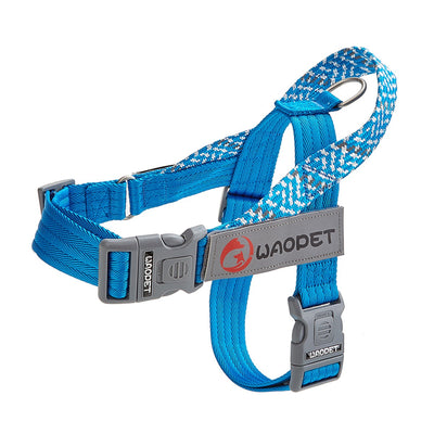 Pet Fashion Dog Harnesses For Medium And Large Walking Dogs Portable New Design Safety Chest Harness Colorful Collar Accessories