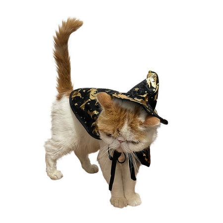 New Halloween Witch Cloak, Cat Wizard Cloak, Pet Cloak, Festival Dress Up, Transformation Dress Up