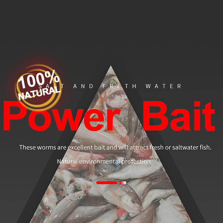 1Bag Dry Sandworms Fishing Lure Eco-friendly Fish Bait Portable Seductive Food For Aquatic Animals Enticement Usage 10g