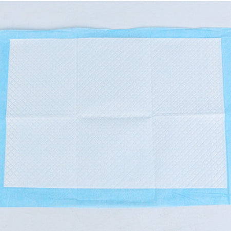 Winter Super Absorbent Pet Diaper Dog Training Pee Pads Disposable Healthy Nappy Mat For Cats Dog Diapers Cage Mat Pet Supplies