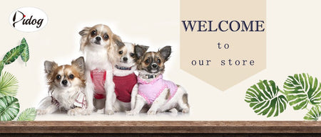 Breathable Dog Harness Leash Bag Set Winter Warm Dog Fur Harnesses Vest Pet Walking Rope With Garbage Bag for Small Medium Dogs