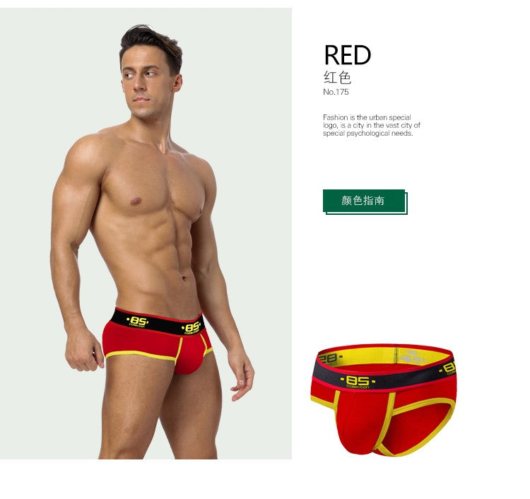 BS 4PC/LOT Men Briefs Sexy Underwear Male Underpants Men's Sexy Breathable Brief Pants Comfortable Men Briefs Underwear Cotton
