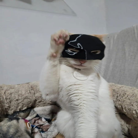 9-13cm Cat Bat Cool Man Mask Cat Avenger Mask Matte Cute Bat Mask Superhero Toys Cat Bat Halloween Costume For Cats Pet Supplies